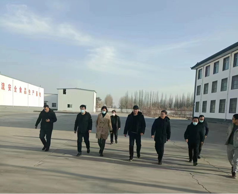 石嘴山市副市長、惠農(nóng)區(qū)委書記王宇翔蒞臨寧夏興康恒潤農(nóng)業(yè)科技發(fā)展有限公司調(diào)研