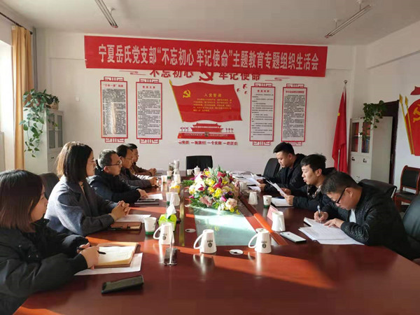 寧夏岳氏黨支部召開“不忘初心，牢記使命”主題教育專題組織生活會