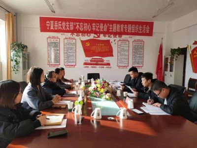 寧夏岳氏黨支部召開“不忘初心，牢記使命”主題教育專題組織生活會